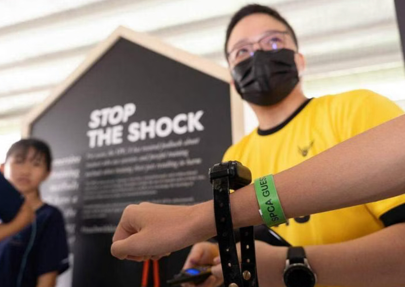 Wearing shock collars, squeezing into cages SPCA uses experiential